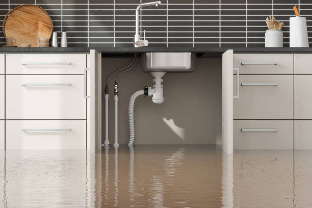 Best Water damage restoration specialists  in USA